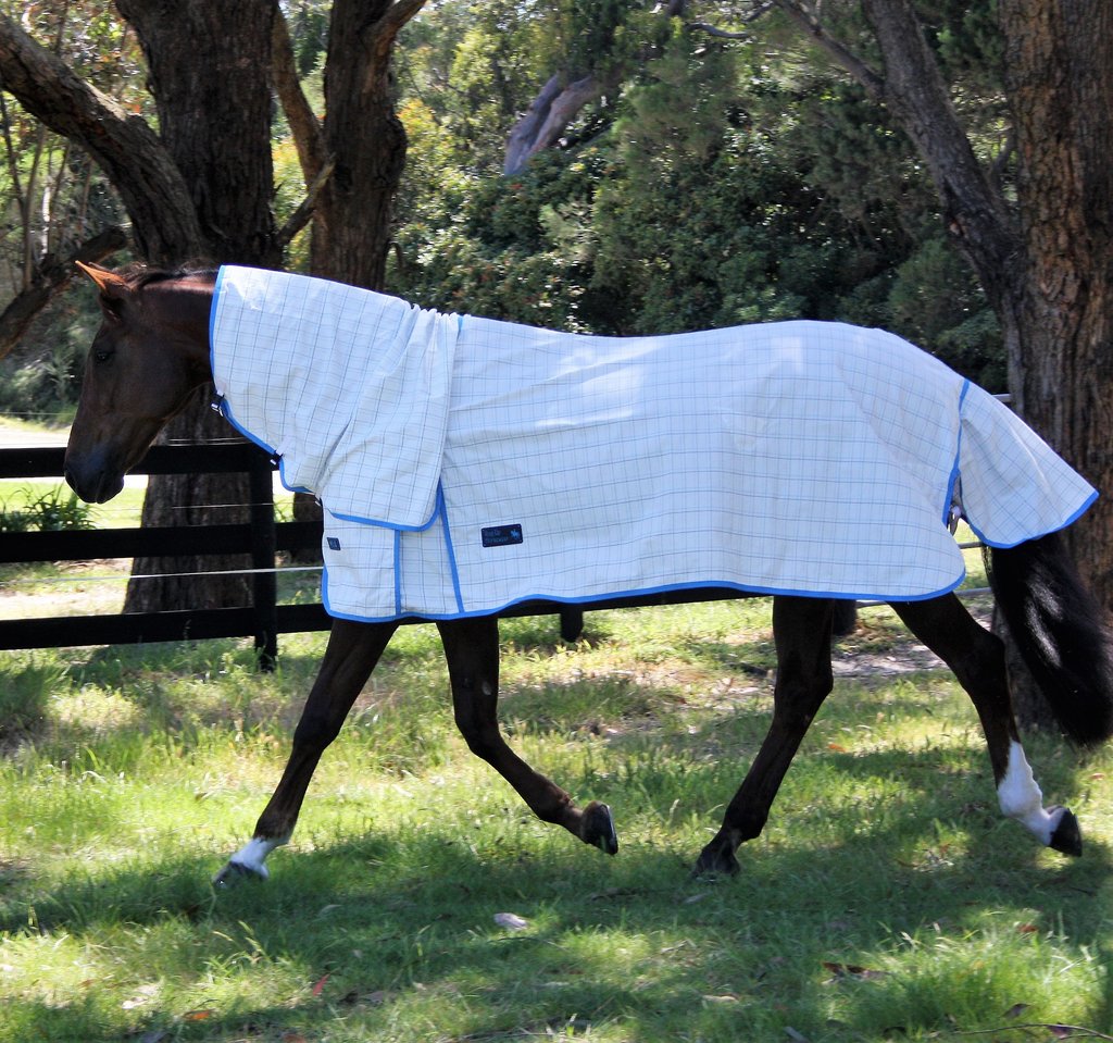 Mia Summer Combo Rug - SURESTAY NECK