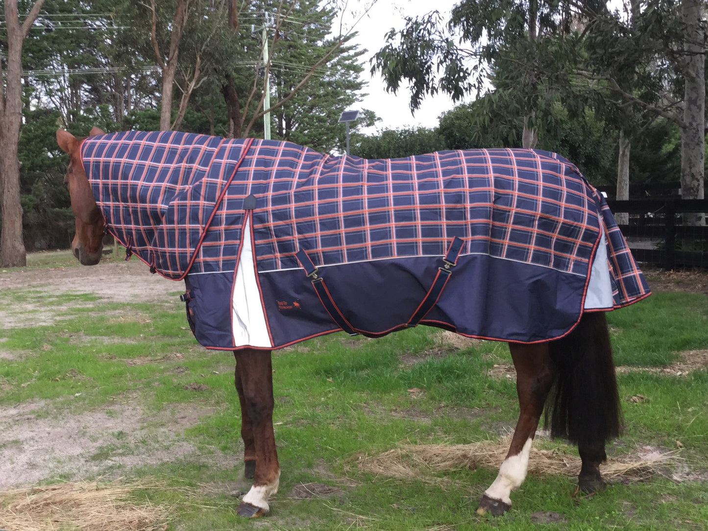Rug Up Horsewear Mia 1200D Rug with Detachable Neck - CLICK IN TO VIEW COLLECTION - Rug Up Horsewear
