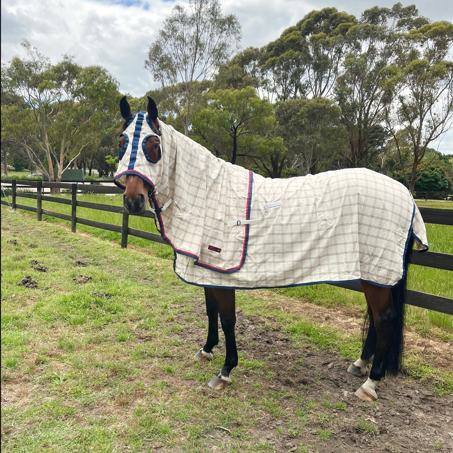 WHINNI NATURAL COMBO RUG - HOOD