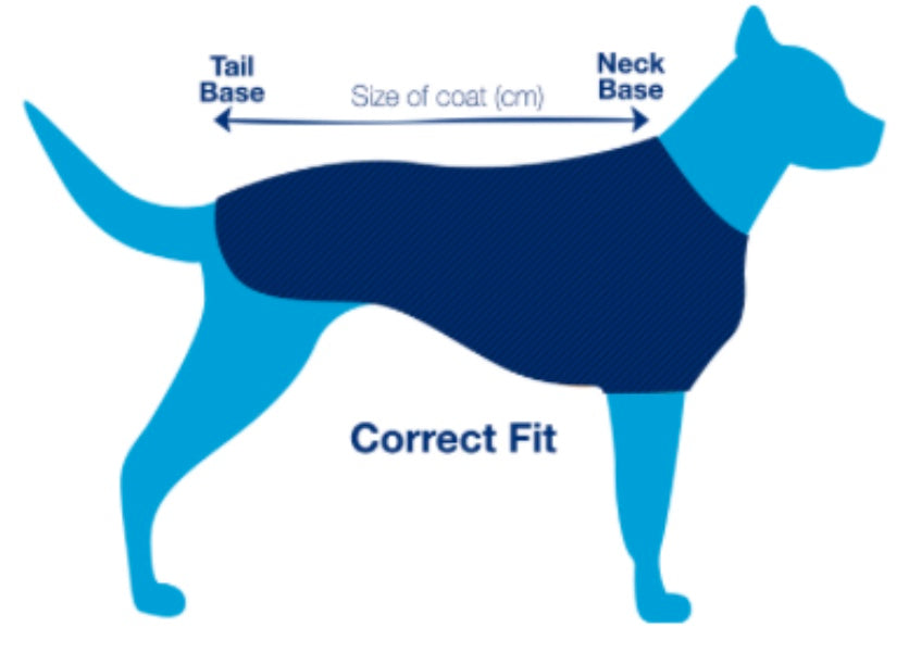 DOG RUGS