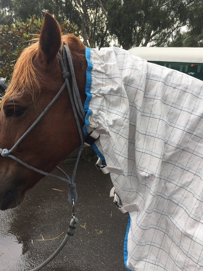 Mia Summer Combo Rug - STANDARD NECK