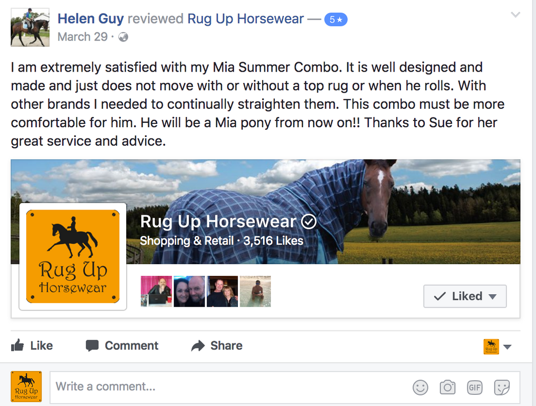 Customer Review