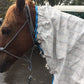 Mia Summer Combo Rug - SURESTAY NECK