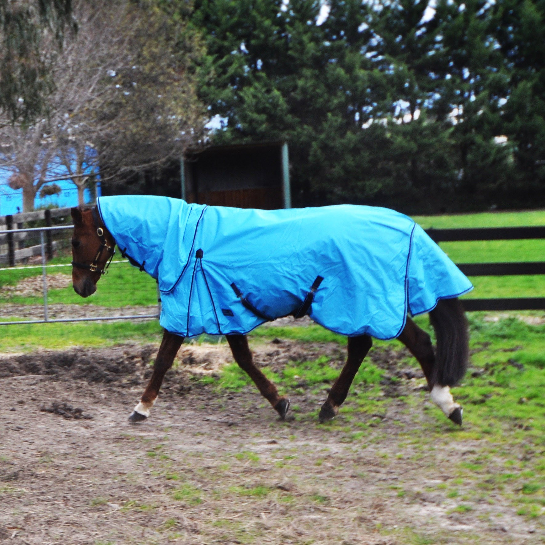 Rug Up Horsewear 600D Rainsheet with Detachable Neck - Rug Up Horsewear