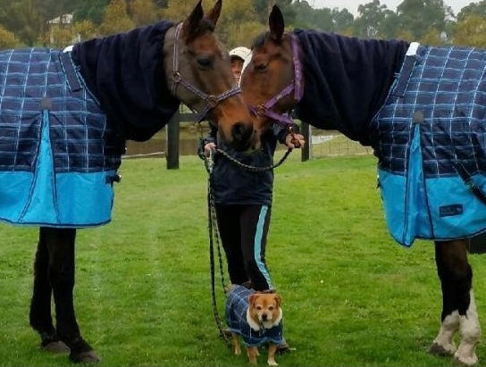 WATERPROOF DOG RUG