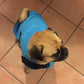 WATERPROOF DOG RUG