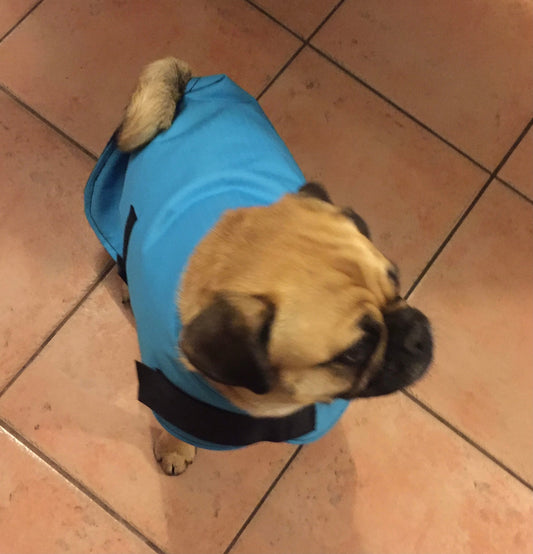 WATERPROOF DOG RUG