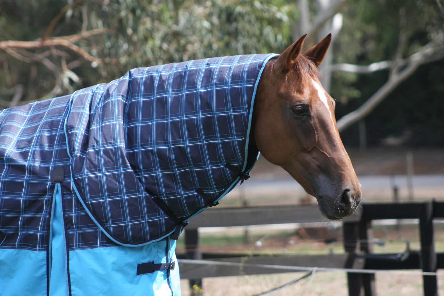 MIA 600D WINTER RUG WITH DETACHABLE NECK