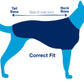 DOG RUGS