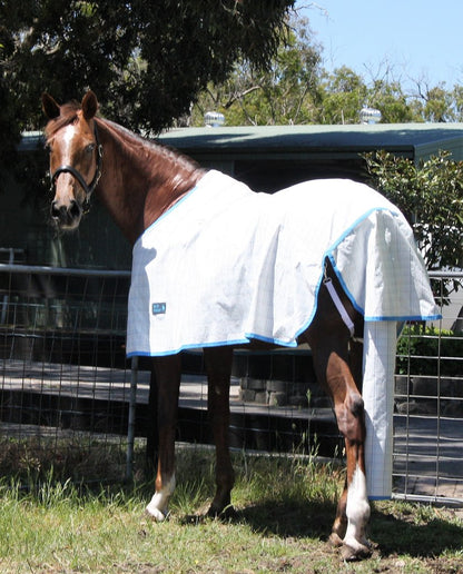 MIA SUMMER RUG ONLY
